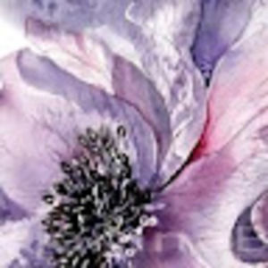 Meet your Posher, Anya